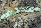 Polished Turquoise in Matrix Slab - Nevada #371564-1